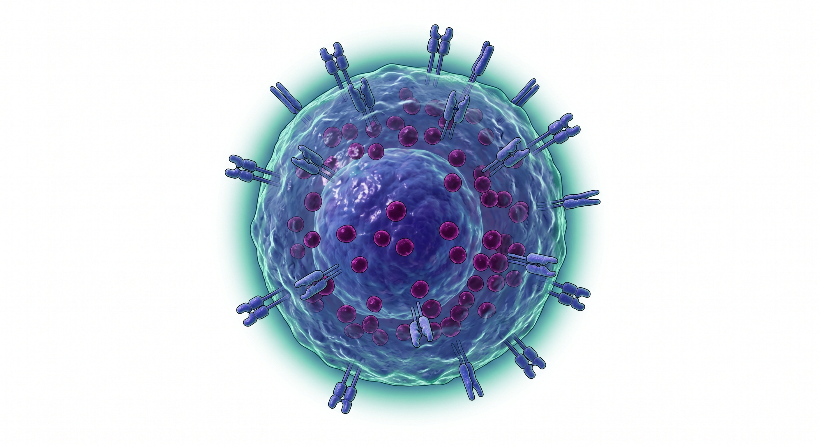 CD3−CD56+ NK hücresi